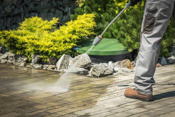 Best Sidewalk and Walkway Cleaning  in Hayward, WI